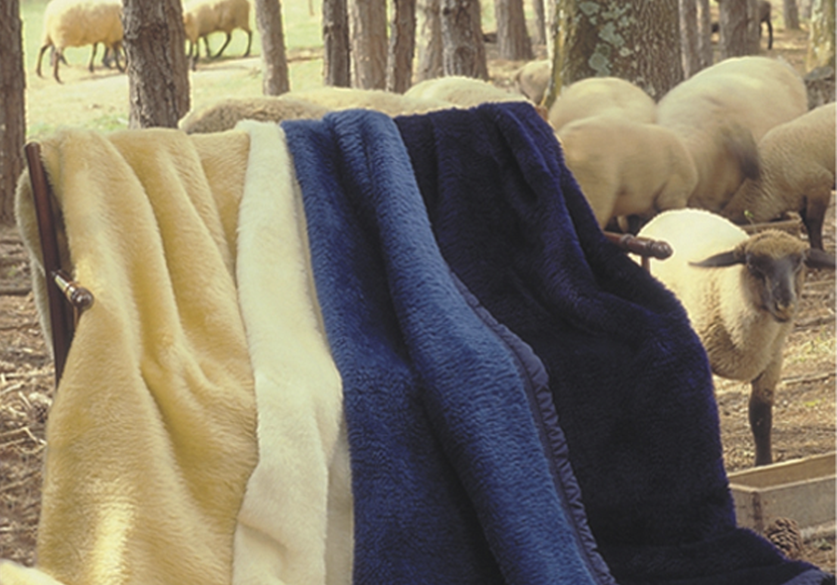 Campanha cobertores anos 80